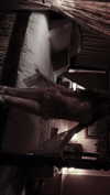krystallea.cs Altpins Profile Picture
