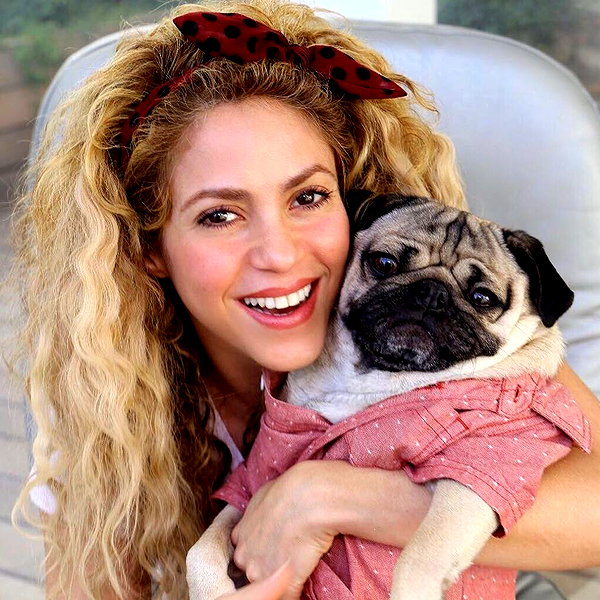 shakira instagram image archive image
