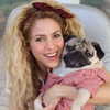 shakira Altpins Profile Picture