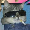 mariagabrielasantos Altpins Profile Picture