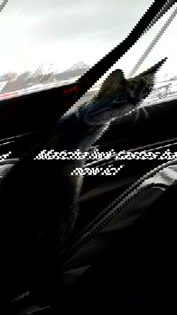 _parismlk _parismlk archive image