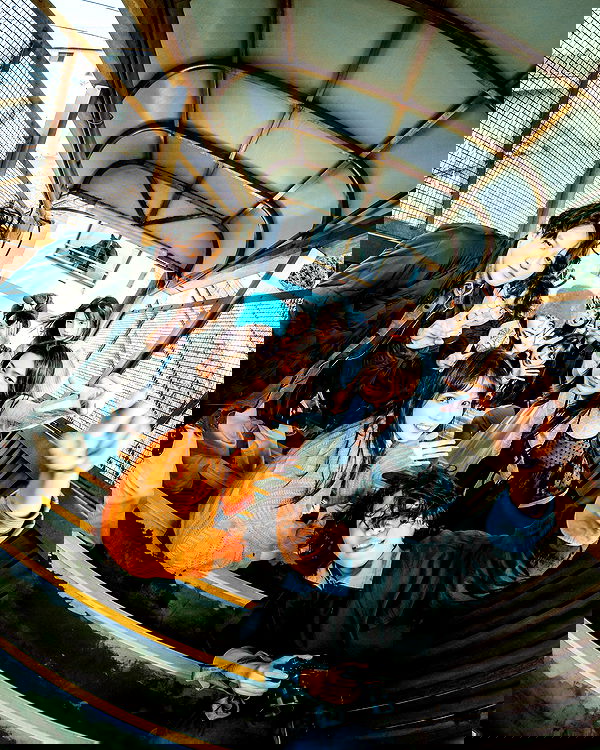 ting851204 ting851204 archive image