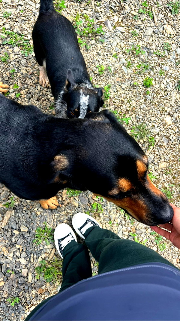 leonanaomii instagram image archive image