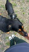 leonanaomii Altpins Profile Picture