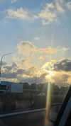 avital_1010.2003 Altpins Profile Picture