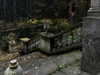 forestowwwl Altpins Profile Picture