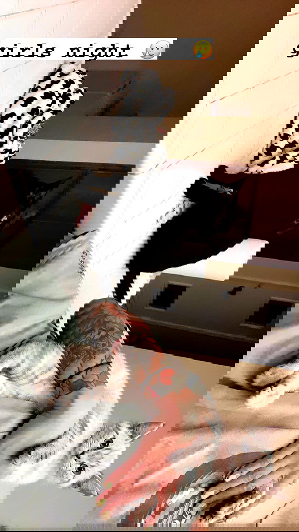 suikomuu suikomuu archive image