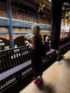vollkova__ Altpins Profile Picture
