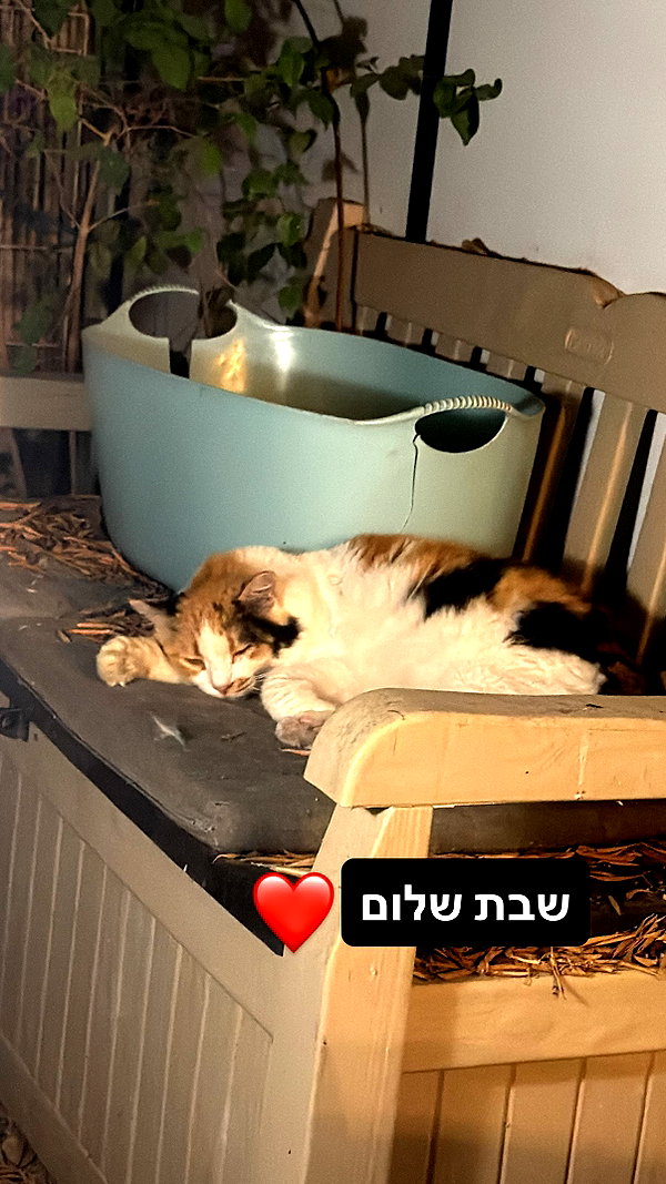 eitan.420 archive image