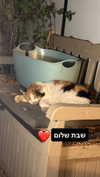 eitan.420 Altpins Profile Picture