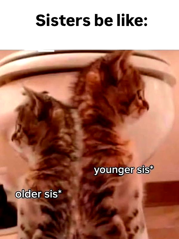 milkibunshehe instagram image archive image