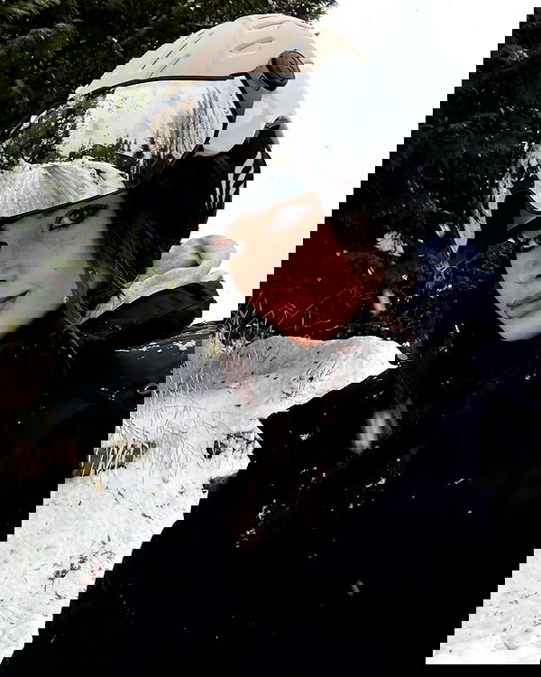 paigeinsco paigeinsco archive image