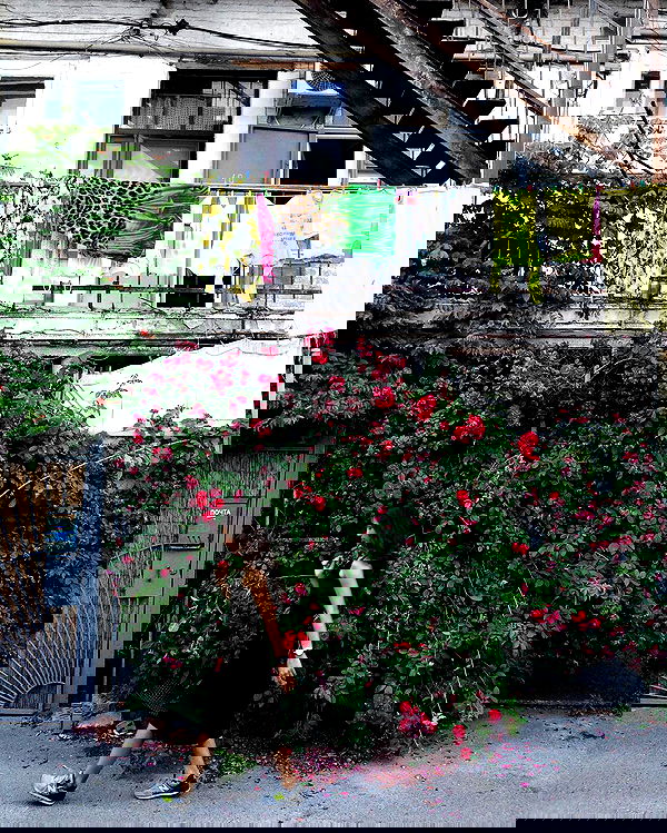 kkulakovaa image ~ Altpins