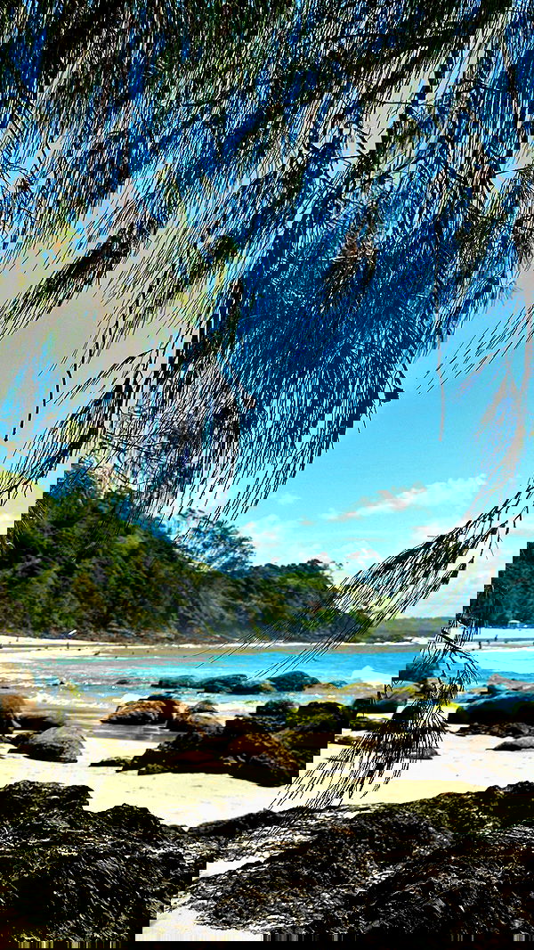 taylor.creeden taylor.creeden archive image