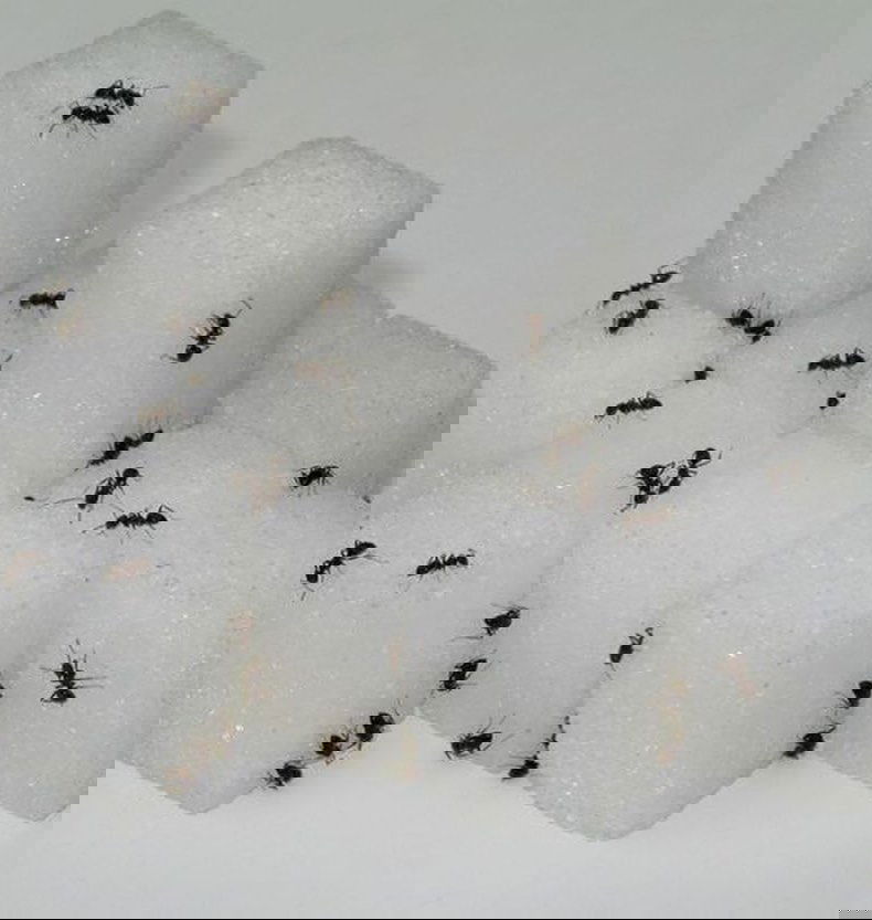 jtilb instagram image archive image