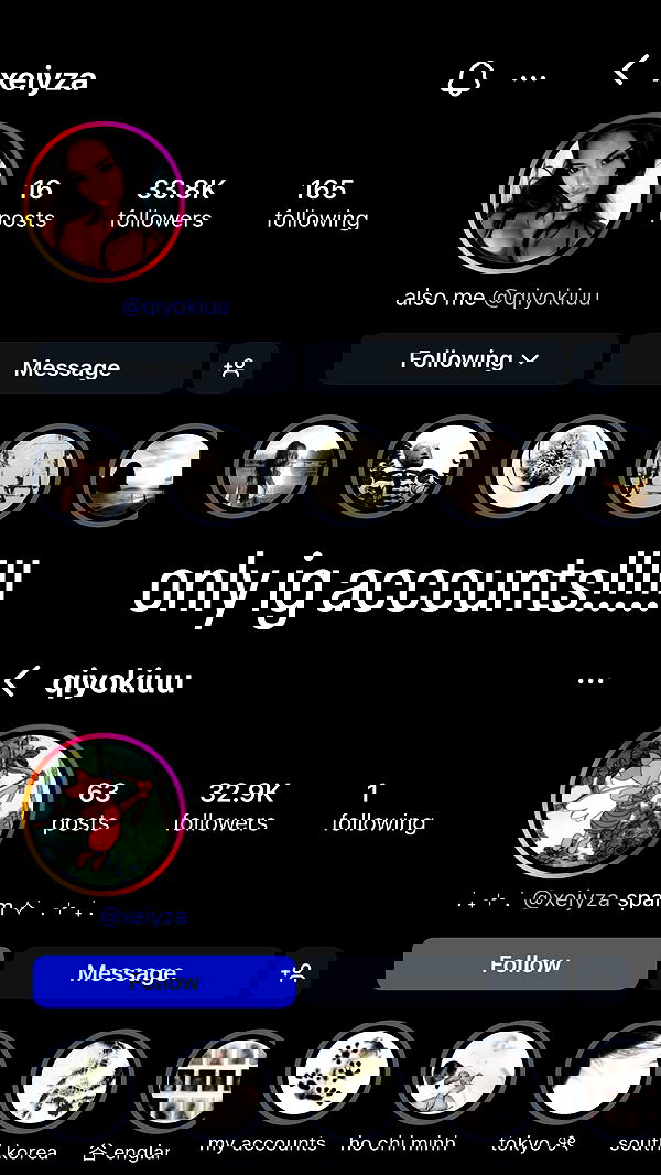 veiyul veiyul archive image