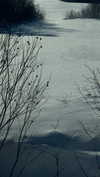 leonanaomii Altpins Profile Picture