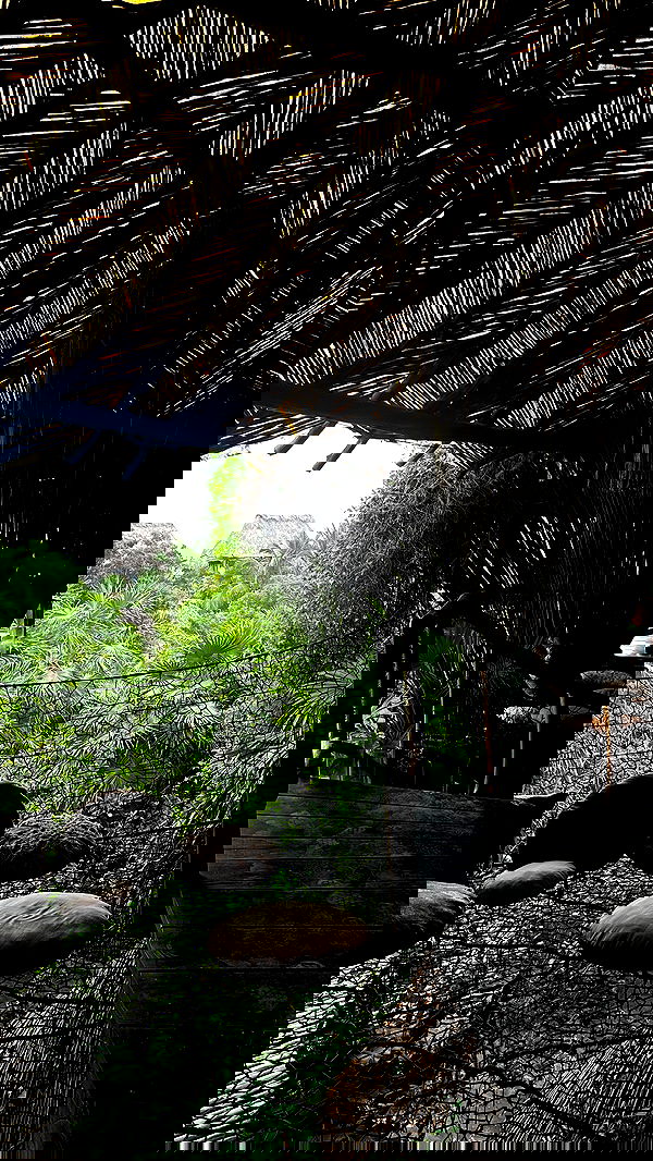 taylor.creeden taylor.creeden archive image