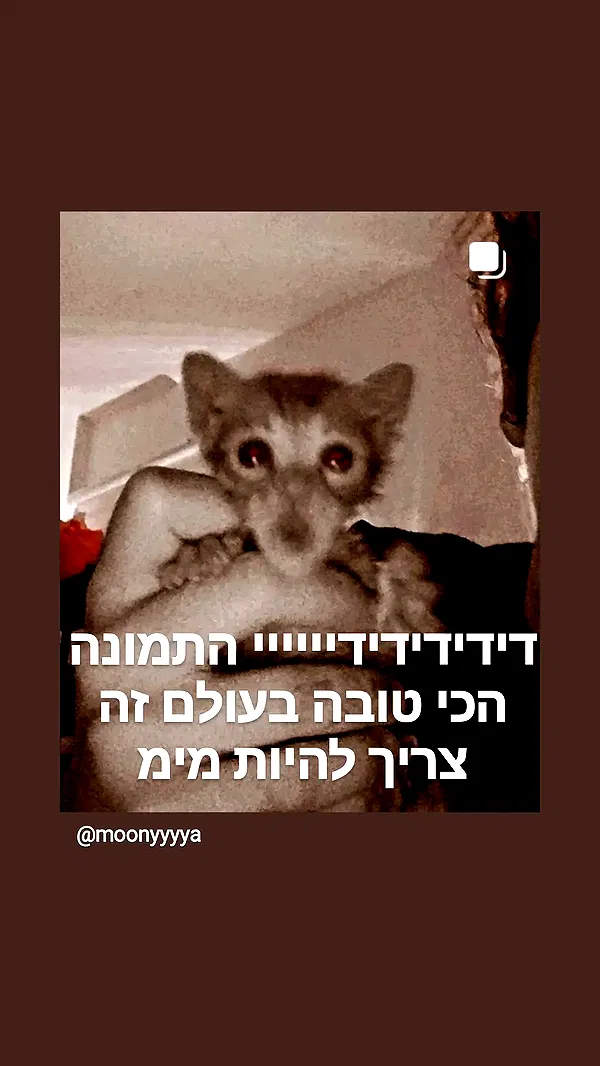 moonyyyya moonyyyya archive image