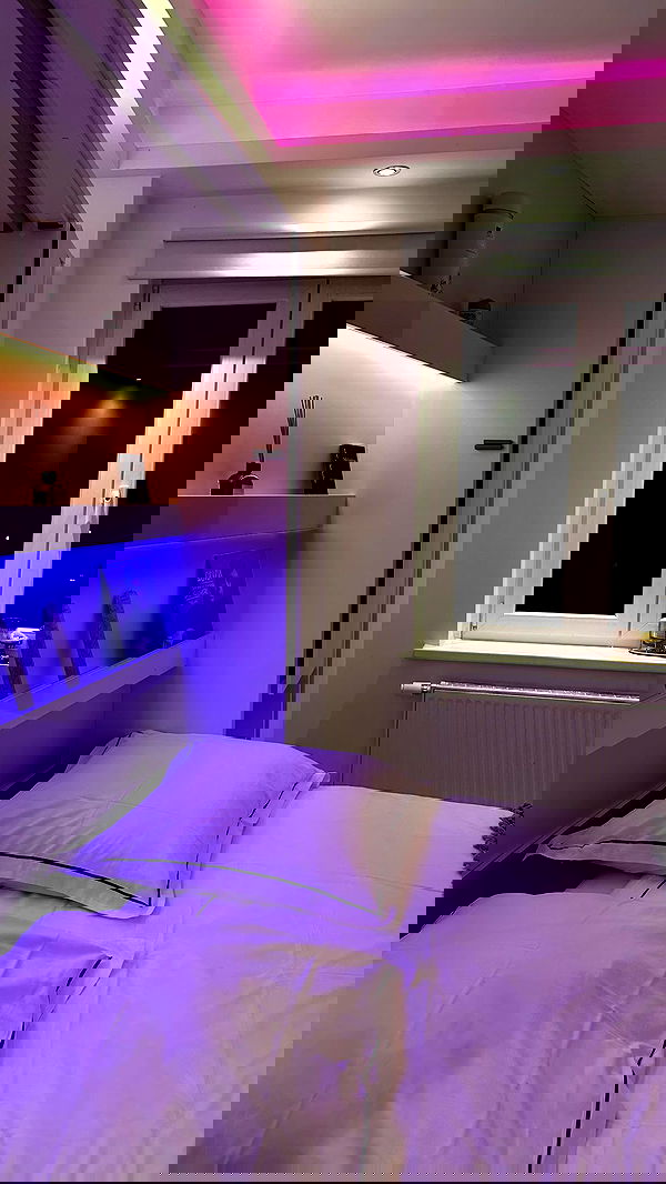 mishel116 mishel116 archive image