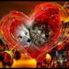 carmaxlla Altpins Profile Picture