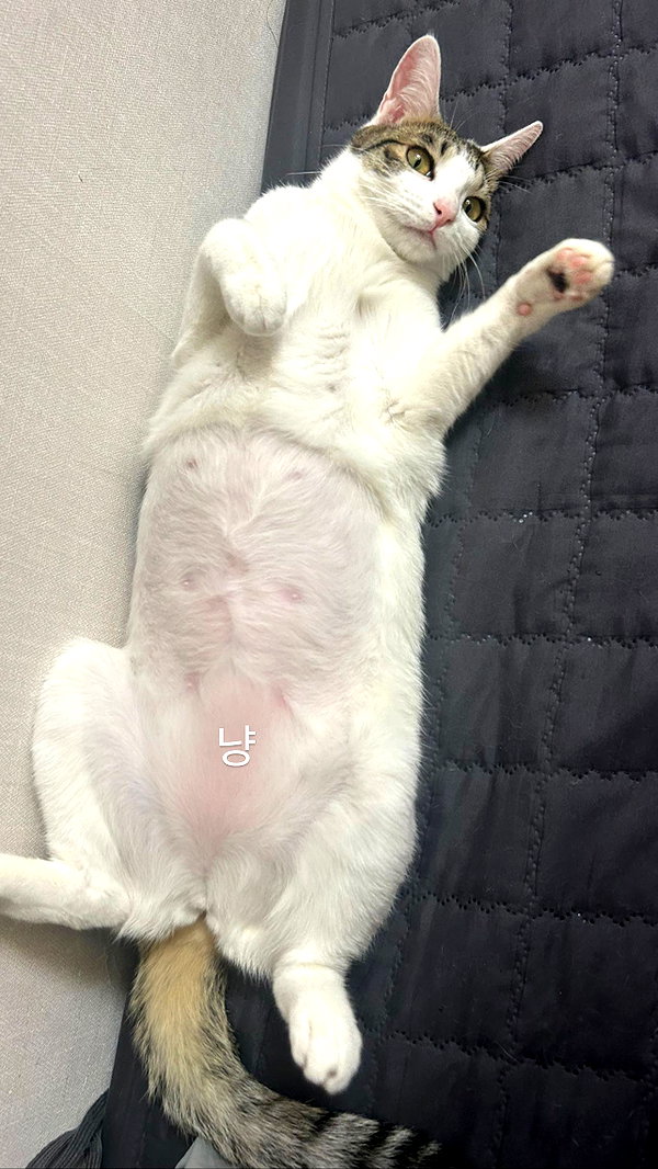 yuna_1_27 instagram image archive image