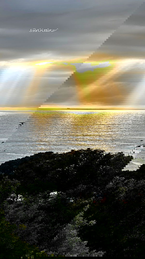 taylor.creeden taylor.creeden archive image