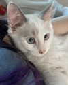 yuna_1_27 Altpins Profile Picture