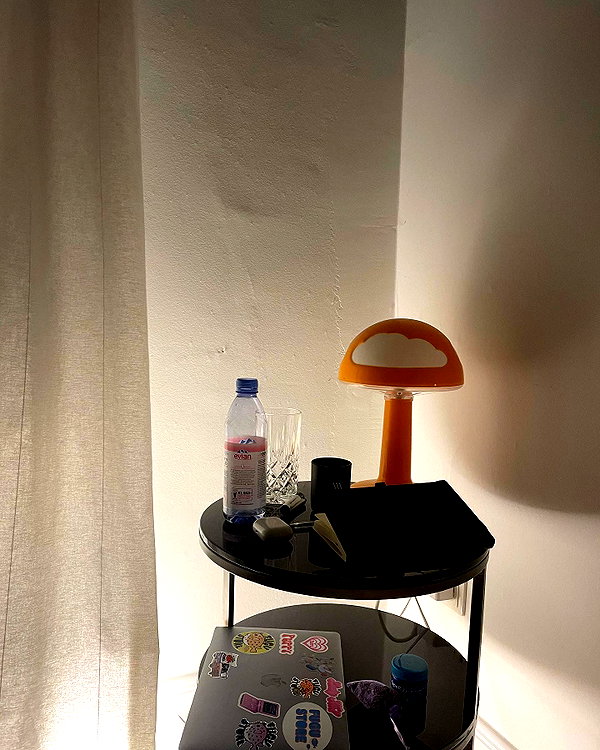 ninastodden instagram image archive image