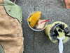 marlene_808 Altpins Profile Picture