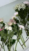 tsarbayeva Altpins Profile Picture