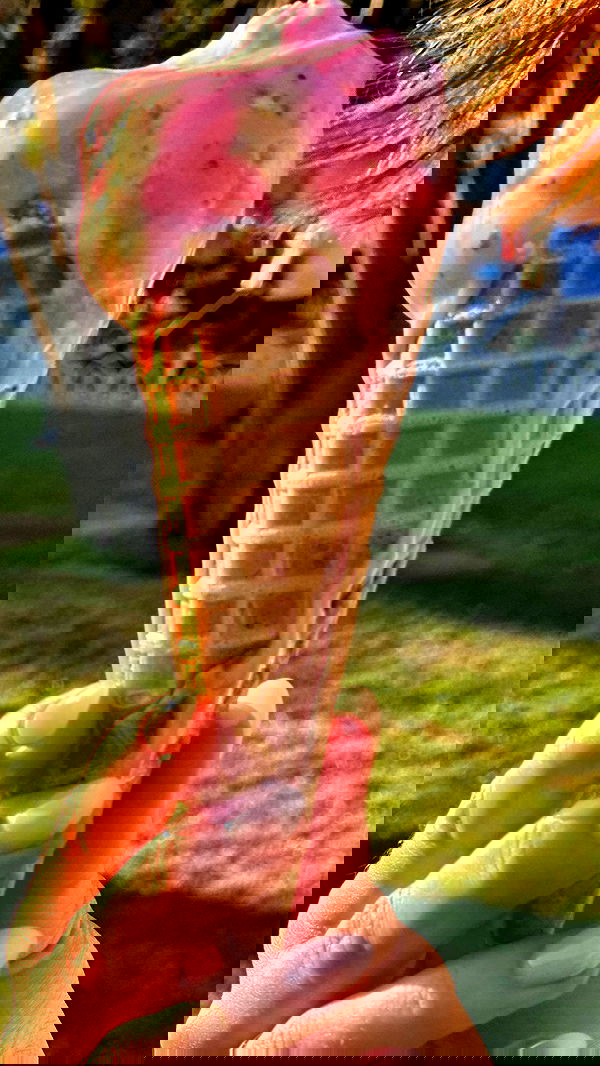 taylor.creeden taylor.creeden archive image