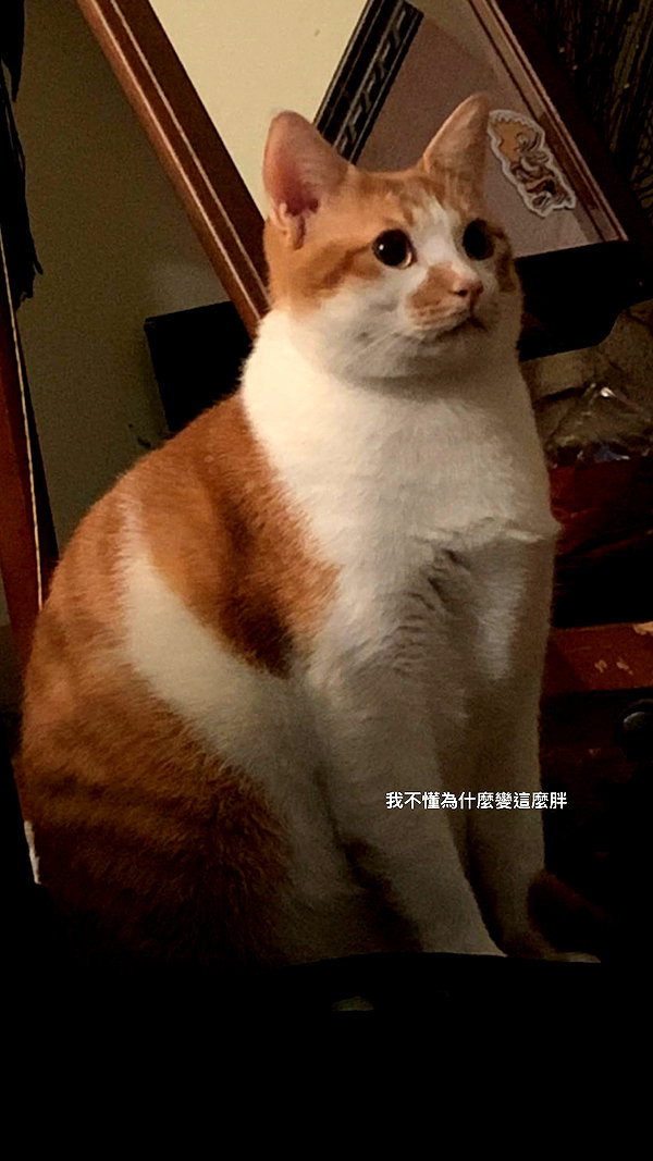 jiw_____n instagram image archive image