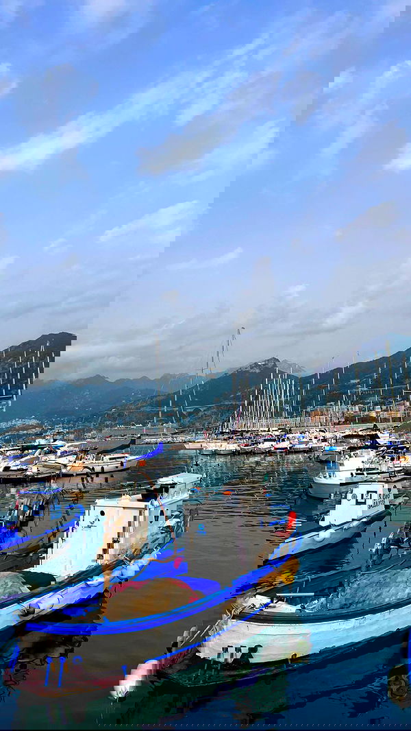 leonanaomii image ~ Altpins