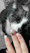 minenmi_ Altpins Profile Picture