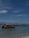 pauuuferreira_ Altpins Profile Picture