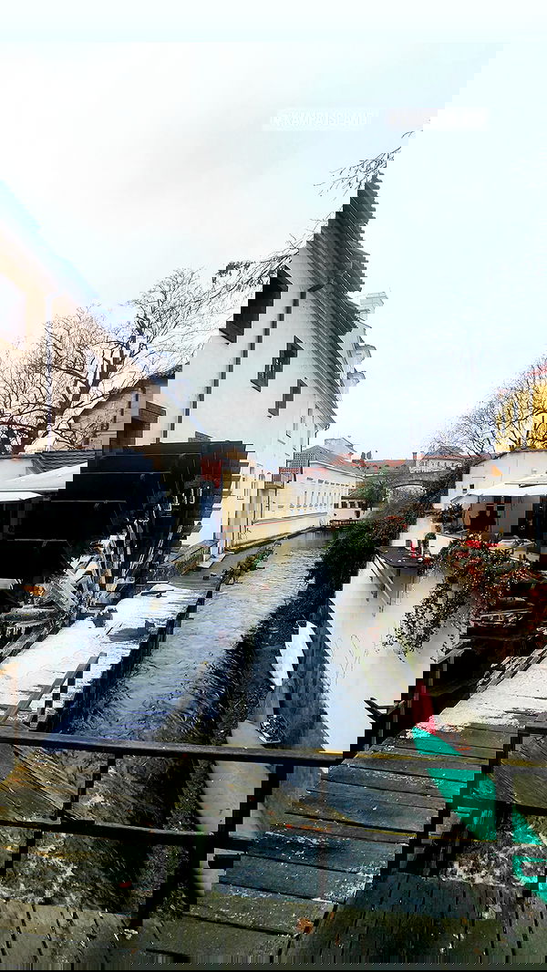 eveliniya eveliniya archive image