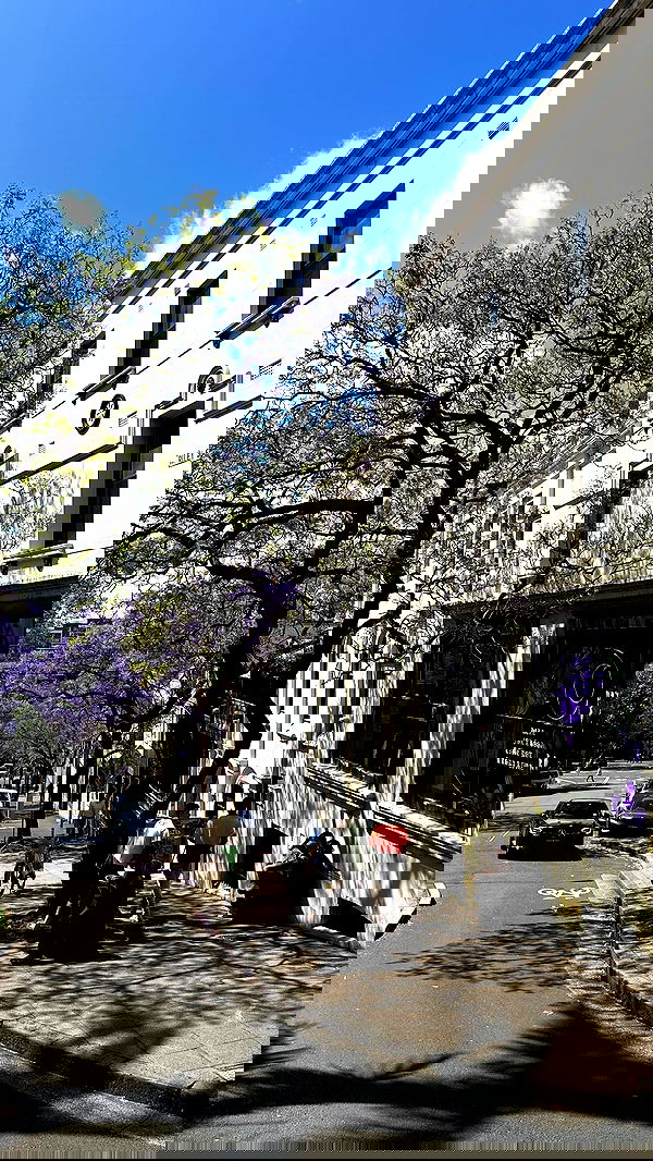 giangg._ giangg._ archive image