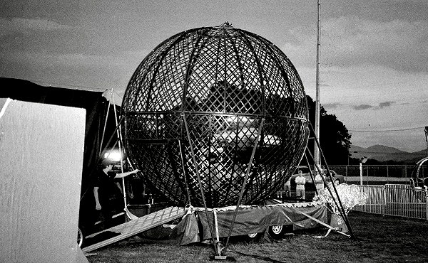 bugz4brainz instagram image archive image