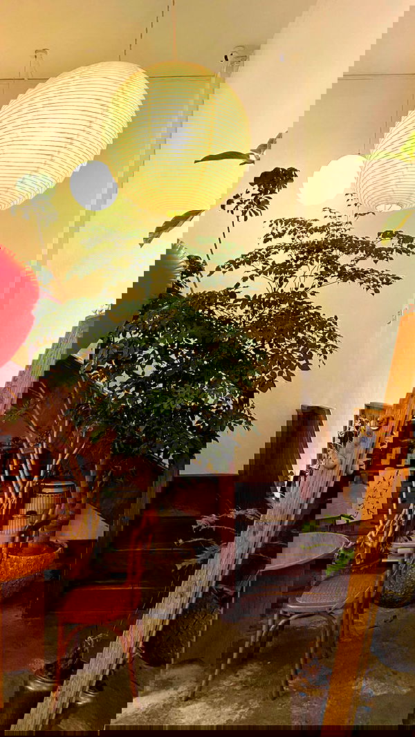 lovemeize lovemeize archive image