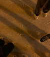 veroni22ka Altpins Profile Picture