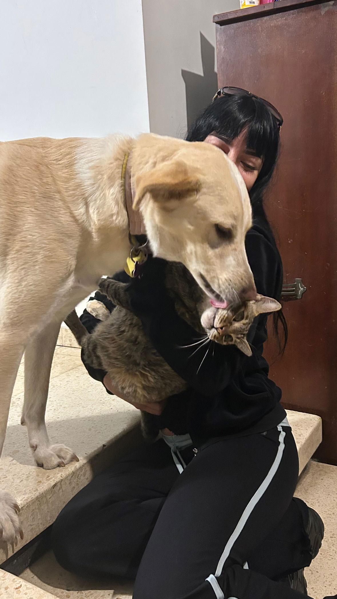 yam_adler instagram image archive image