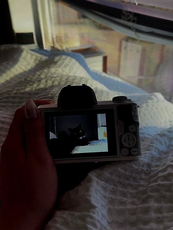liv.most instagram image archive image