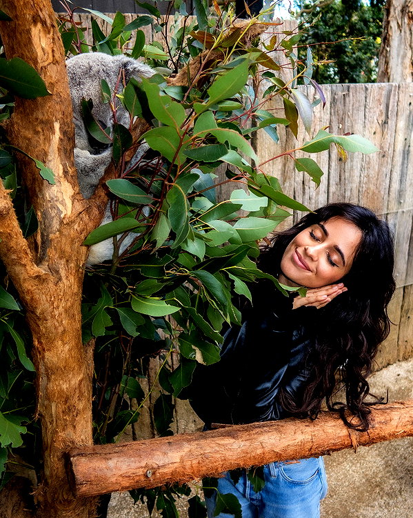 camila_cabello instagram image archive image