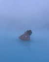 rouxroux.tv Altpins Profile Picture