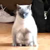 owlydiaa Altpins Profile Picture