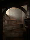 forestowwwl Altpins Profile Picture
