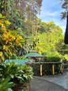 lishai_halevi Altpins Profile Picture