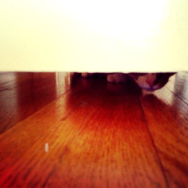 alexandradaddario instagram image archive image