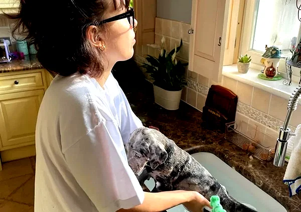 milliebobbybrown instagram image archive image